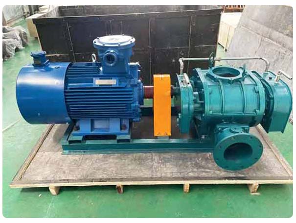 直聯(lián)傳動羅茨風(fēng)機工廠實拍 直聯(lián)傳動羅茨風(fēng)機工廠實拍