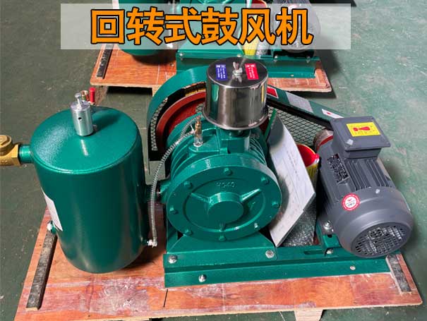 回轉(zhuǎn)式鼓風(fēng)機(jī) 回轉(zhuǎn)式鼓風(fēng)機(jī)