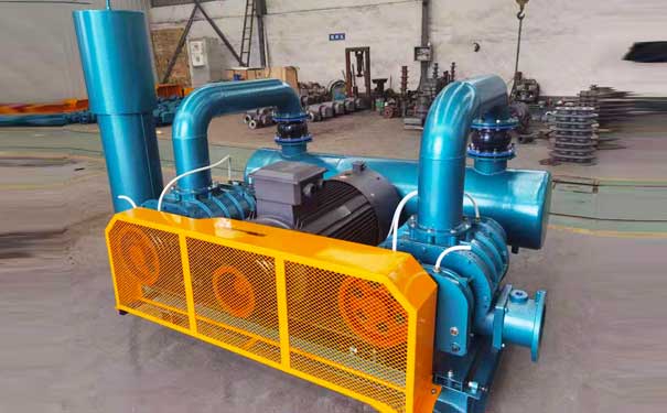 淺談羅茨鼓風(fēng)機(jī)的檢修保養(yǎng)需要注意的問(wèn)題 淺談羅茨鼓風(fēng)機(jī)的檢修保養(yǎng)需要注意的問(wèn)題