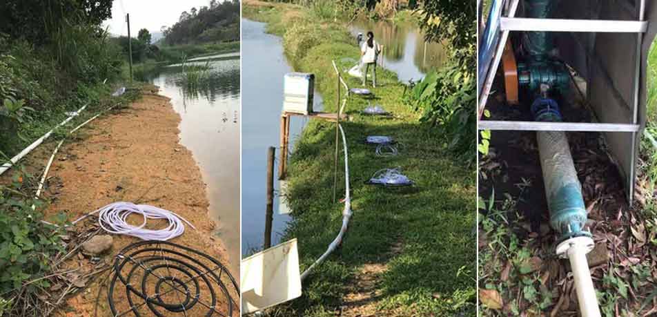 水產養(yǎng)殖羅茨增氧機(羅茨風機) 水產養(yǎng)殖羅茨增氧機(羅茨風機)